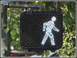 right shows a pedestrian signal face with the white walking person indication illuminated.